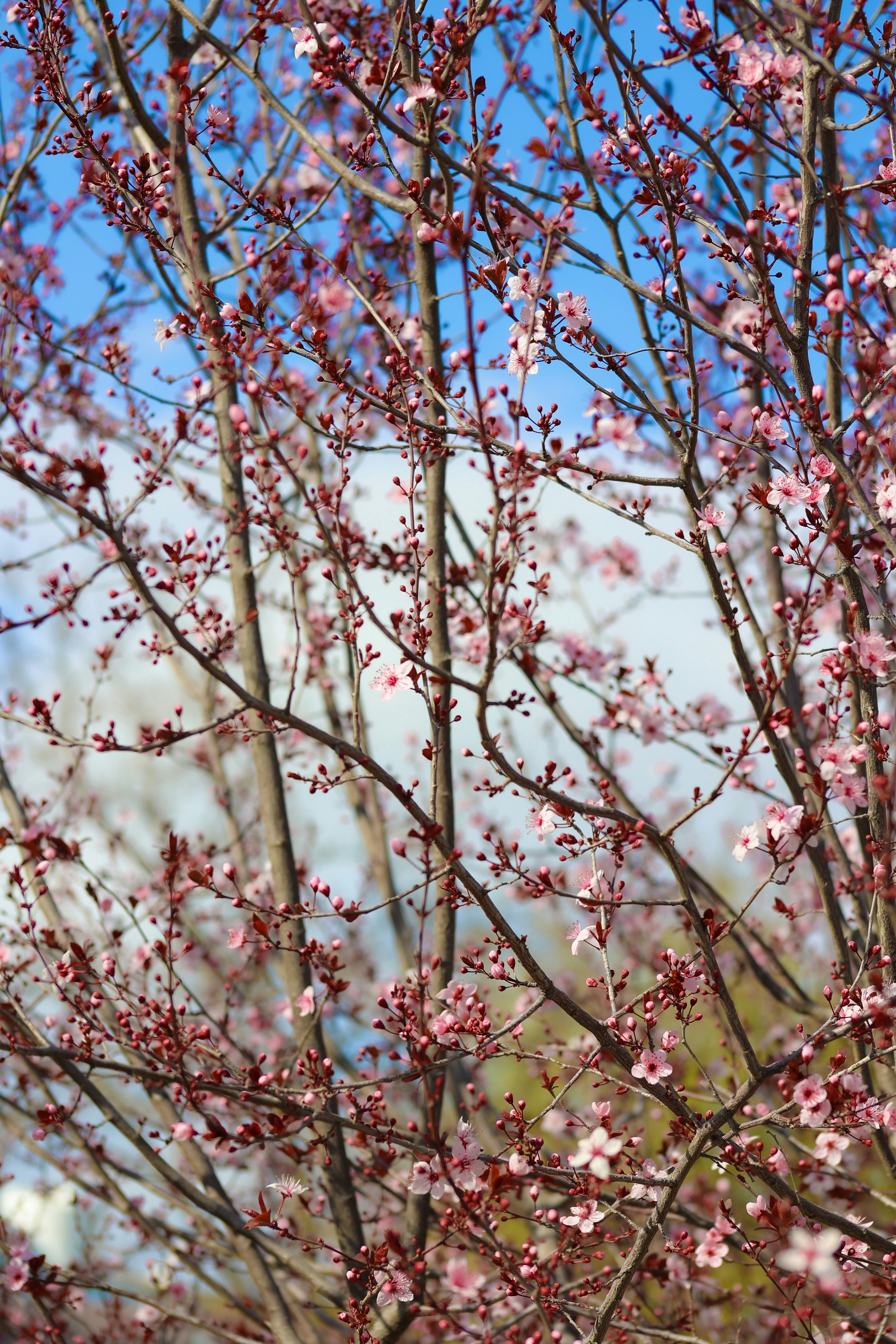 Photo by tahani_jaradat