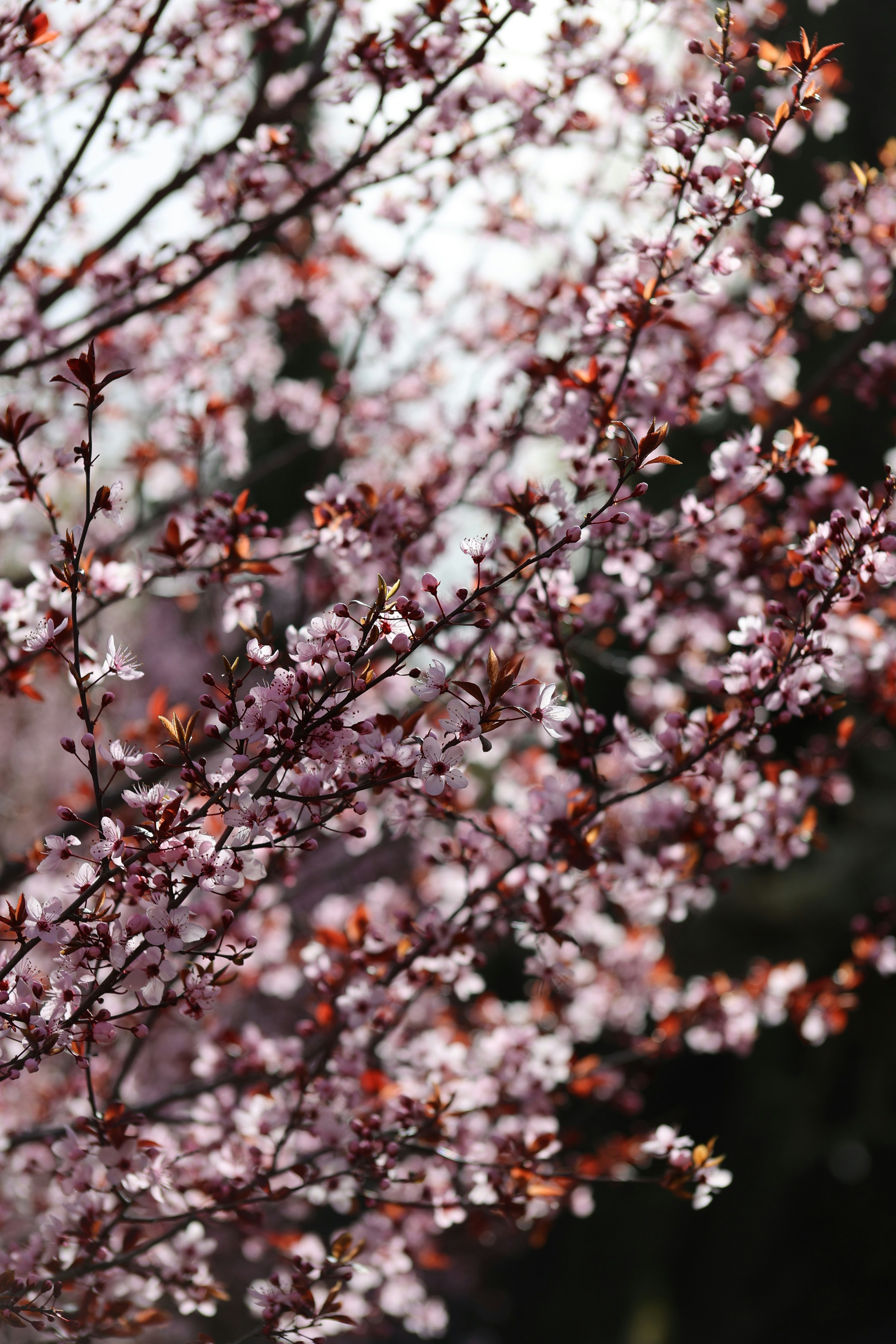 Photo by tahani_jaradat