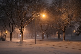 a snowy night in a park with street lights and trees