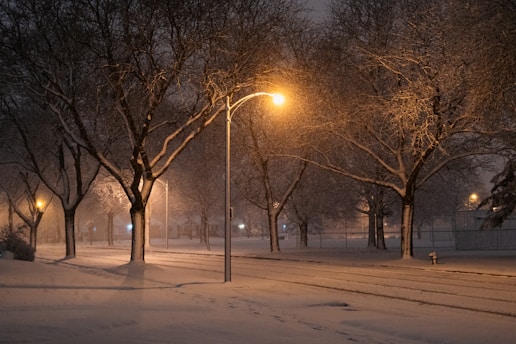 a snowy night in a park with street lights and trees