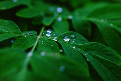 Close-up of a vibrant eco cup with water droplets emphasizing freshness.