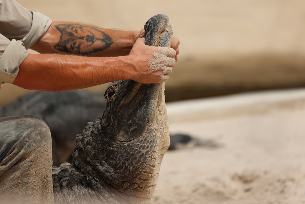 a man holding a large alligator in his hands