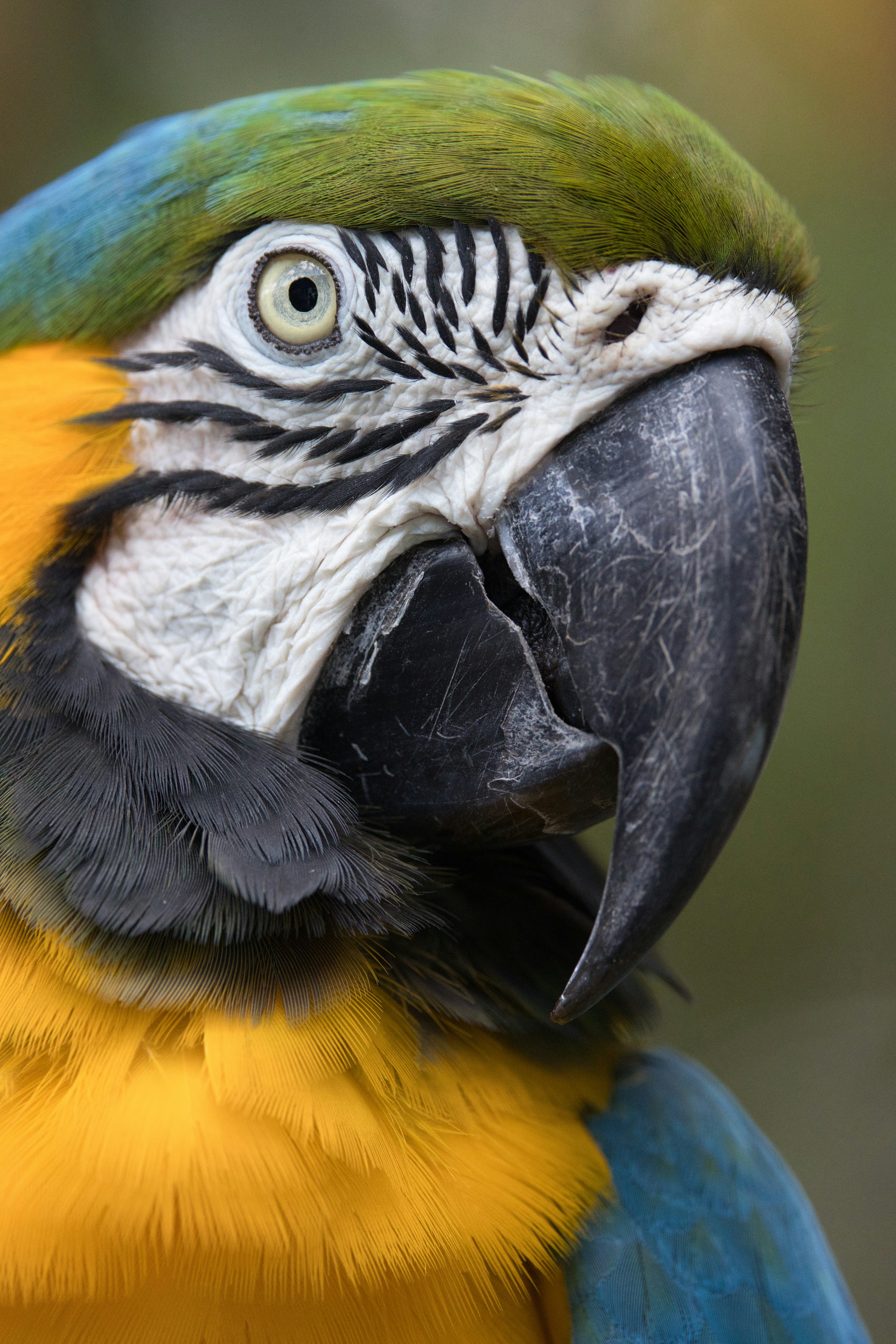 Photo by thephotochad