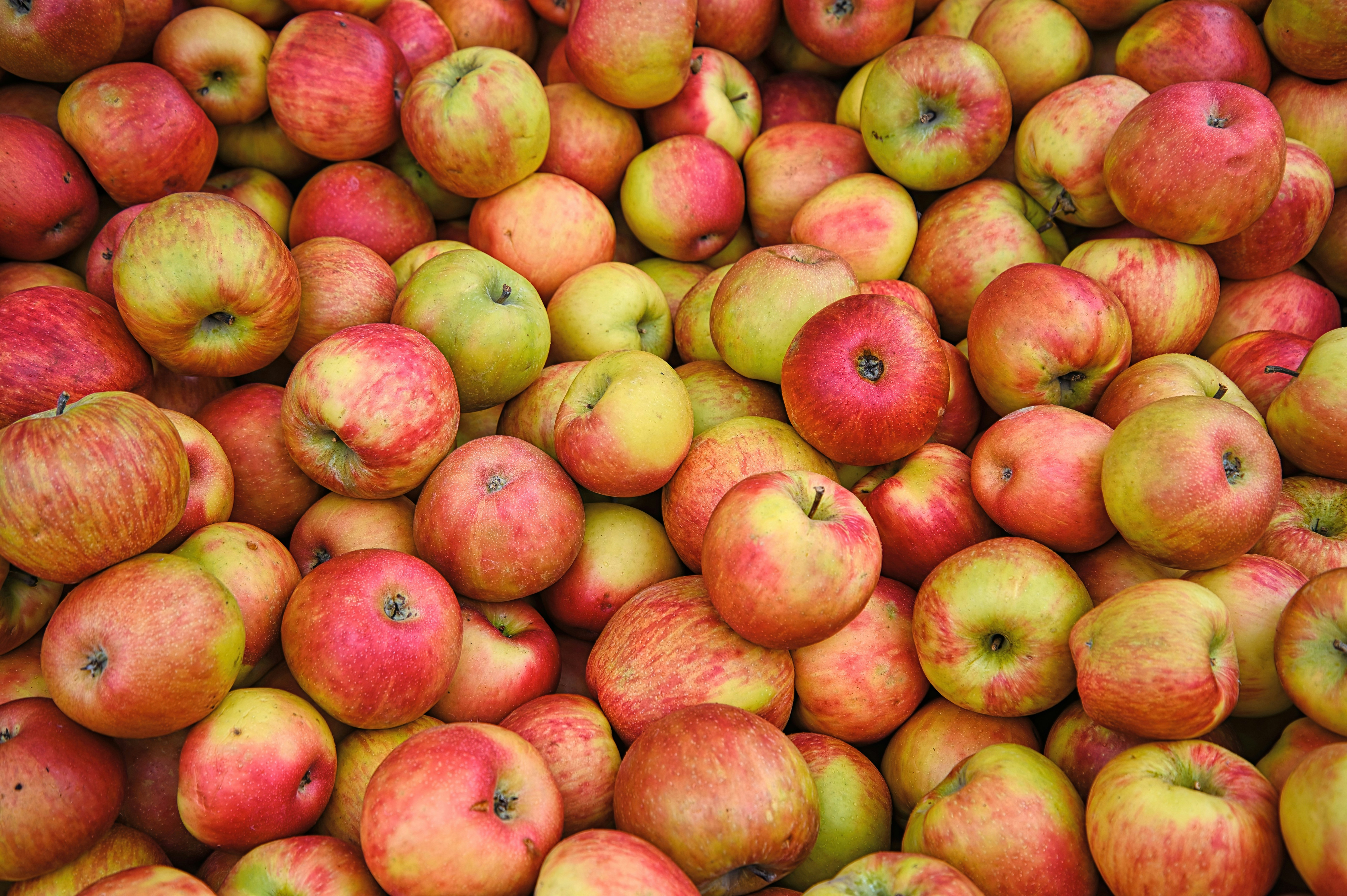 Fresh Organic Apples