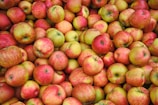A large pile of red and green apples fills the entire image, with various shades indicating their ripeness. The apples are tightly packed together and appear fresh, with slight variations in color and size.