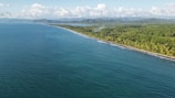 a large body of water surrounded by lush green trees