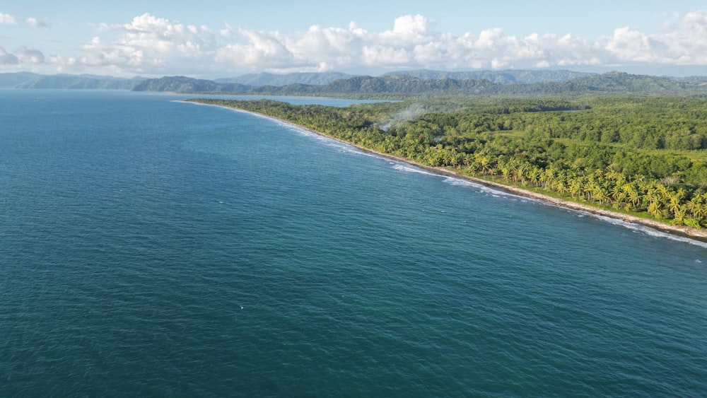 a large body of water surrounded by lush green trees