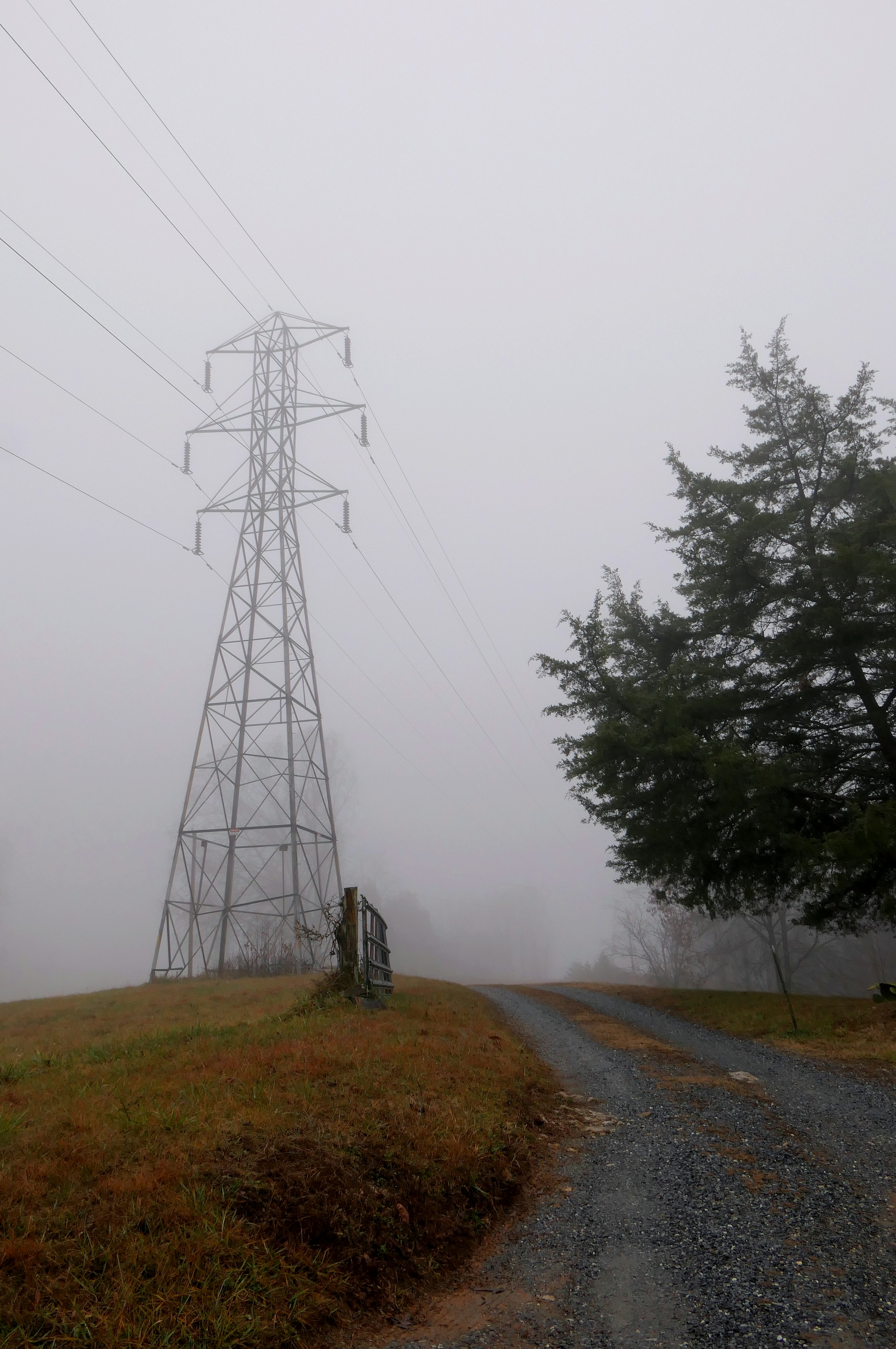 power lines on a foggy day in the country