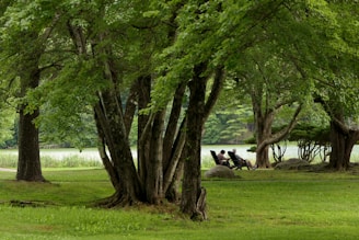 a couple of people sitting on top of a lush green field