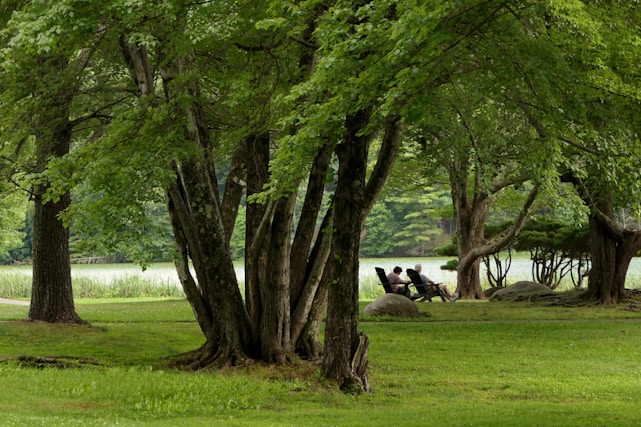a couple of people sitting on top of a lush green field