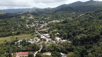 Aerial view of Monte Verde town nestled among rolling green mountains on a sunny day.