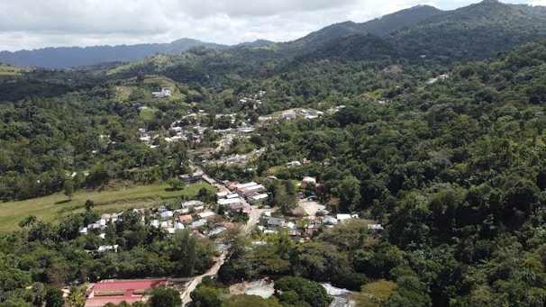 Aerial view of Monte Verde town nestled among rolling green mountains on a sunny day.