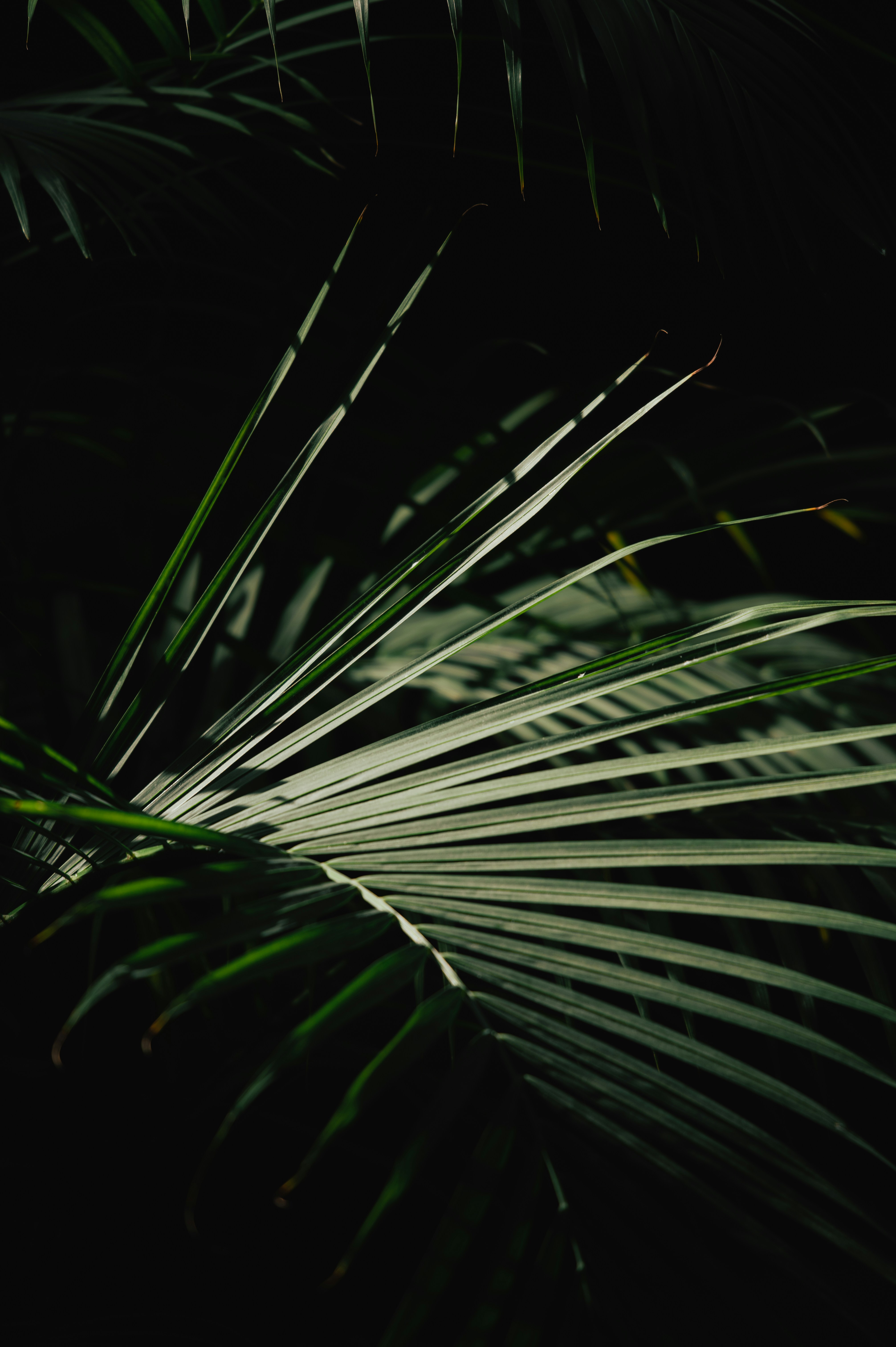 Photo by ryunosuke_kikuno