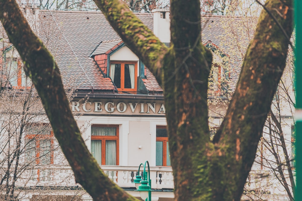 a tree in front of a building with a sign on it