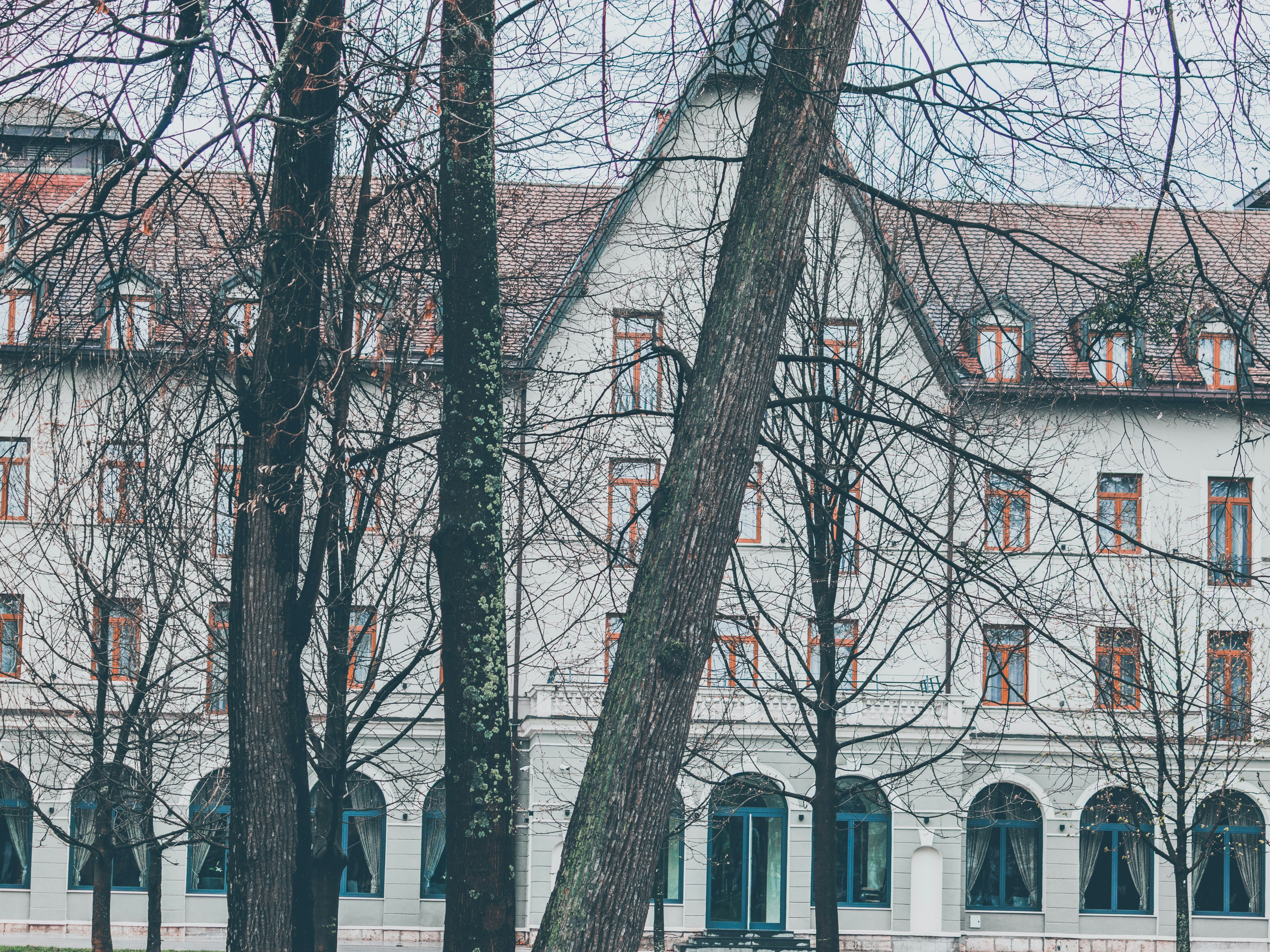 Photo by sporisevicphotography