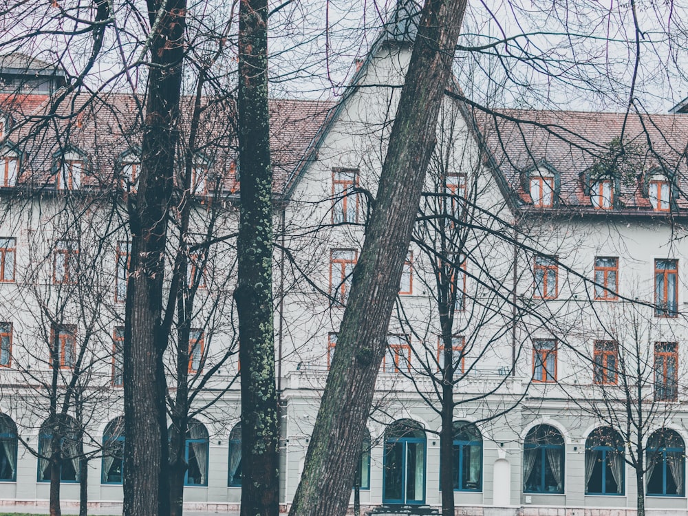 a large white building surrounded by trees and grass