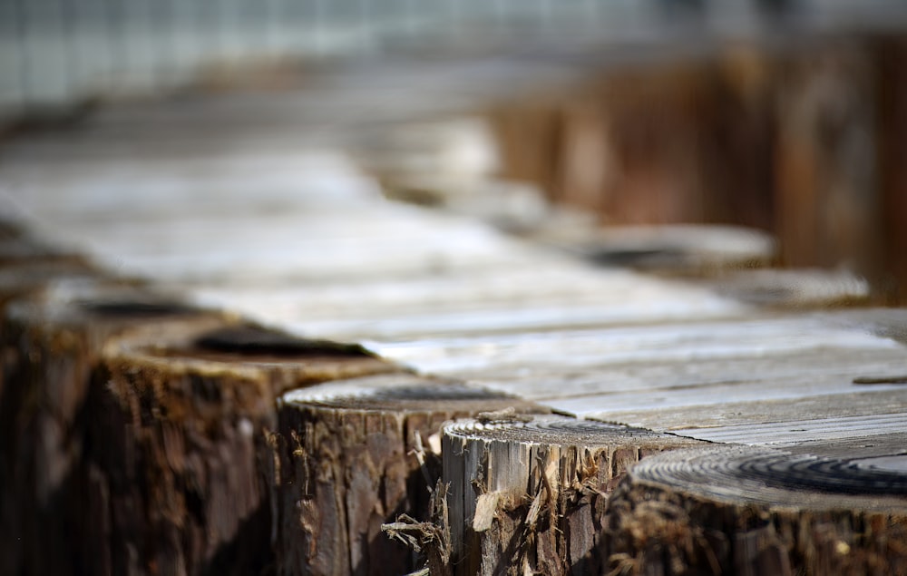 a close up of a wooden bench made of logs