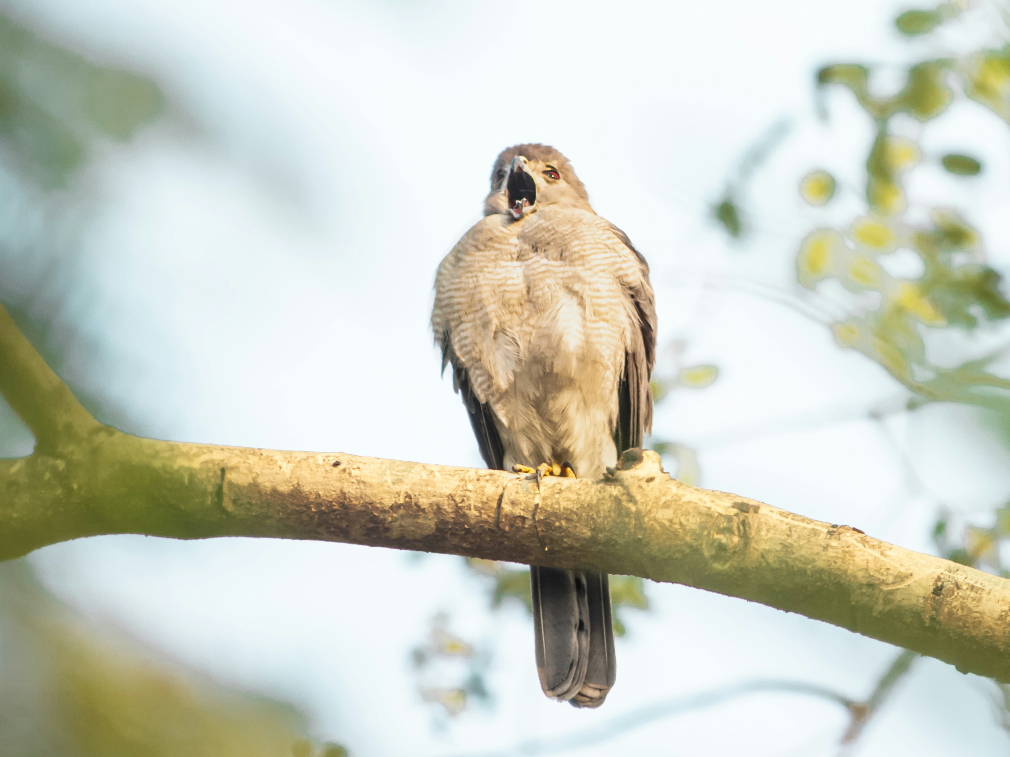 Photo by harshit_suryawanshi