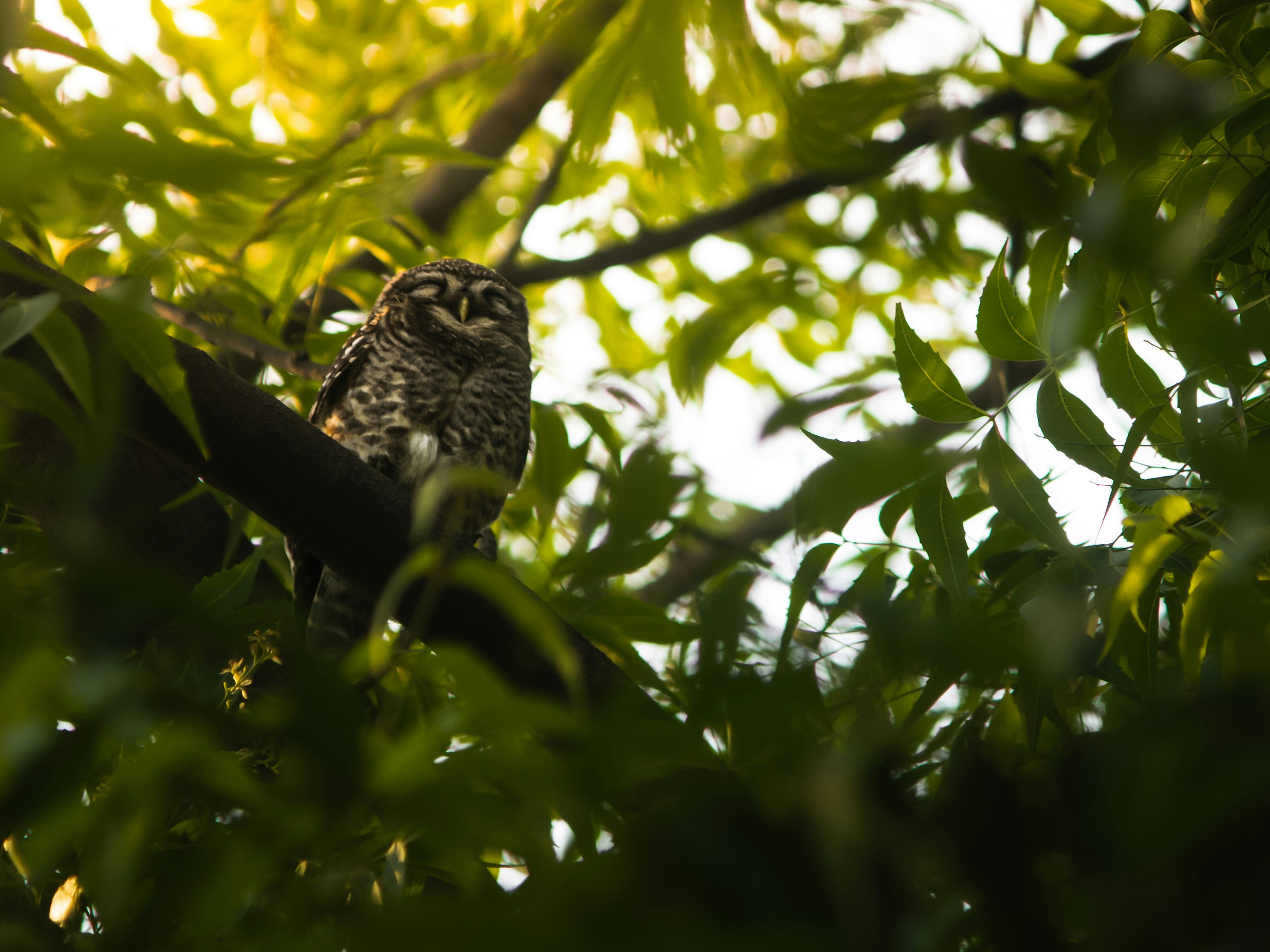 Photo by harshit_suryawanshi