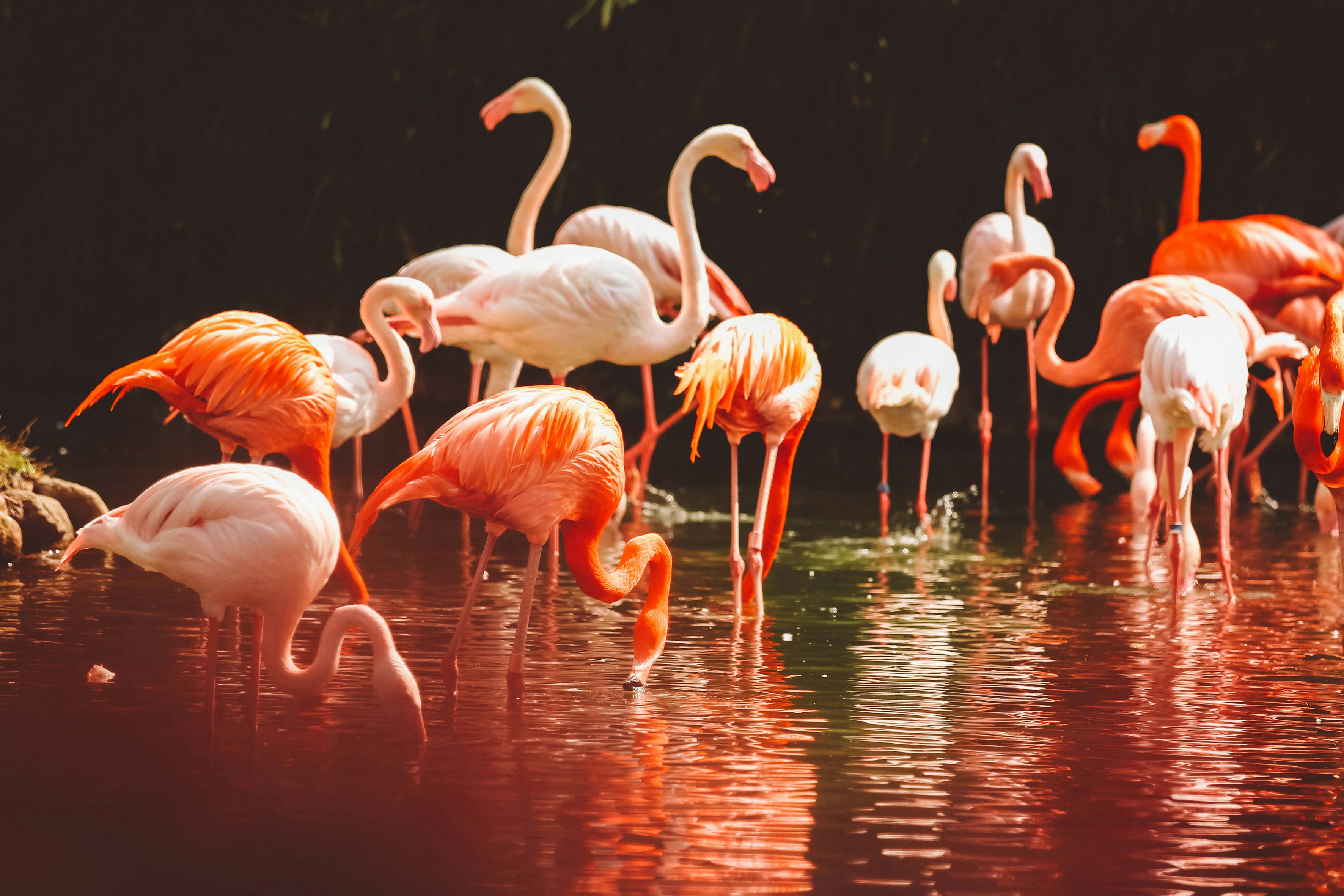 Photo by litemessmor