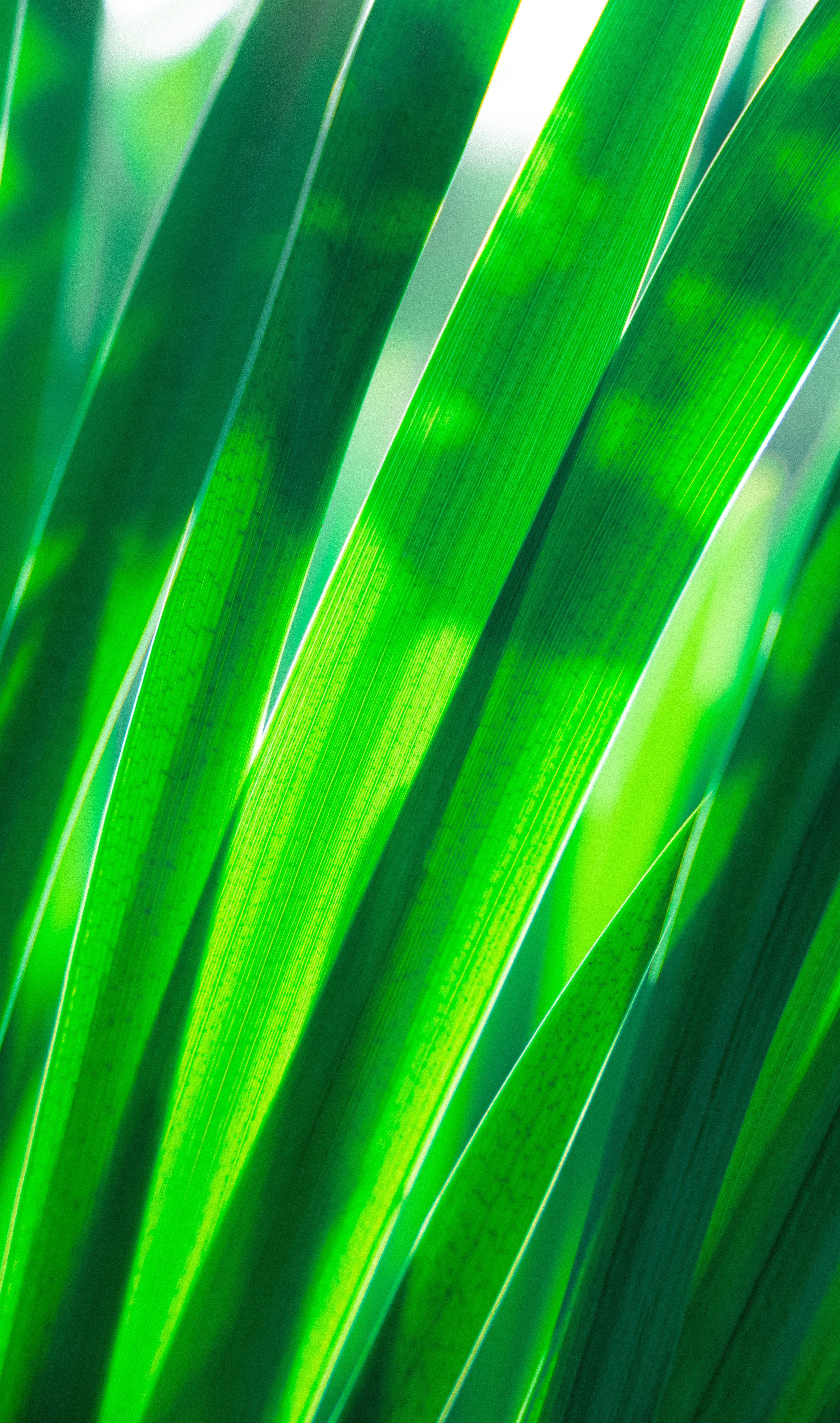 Photo by mocking_bird