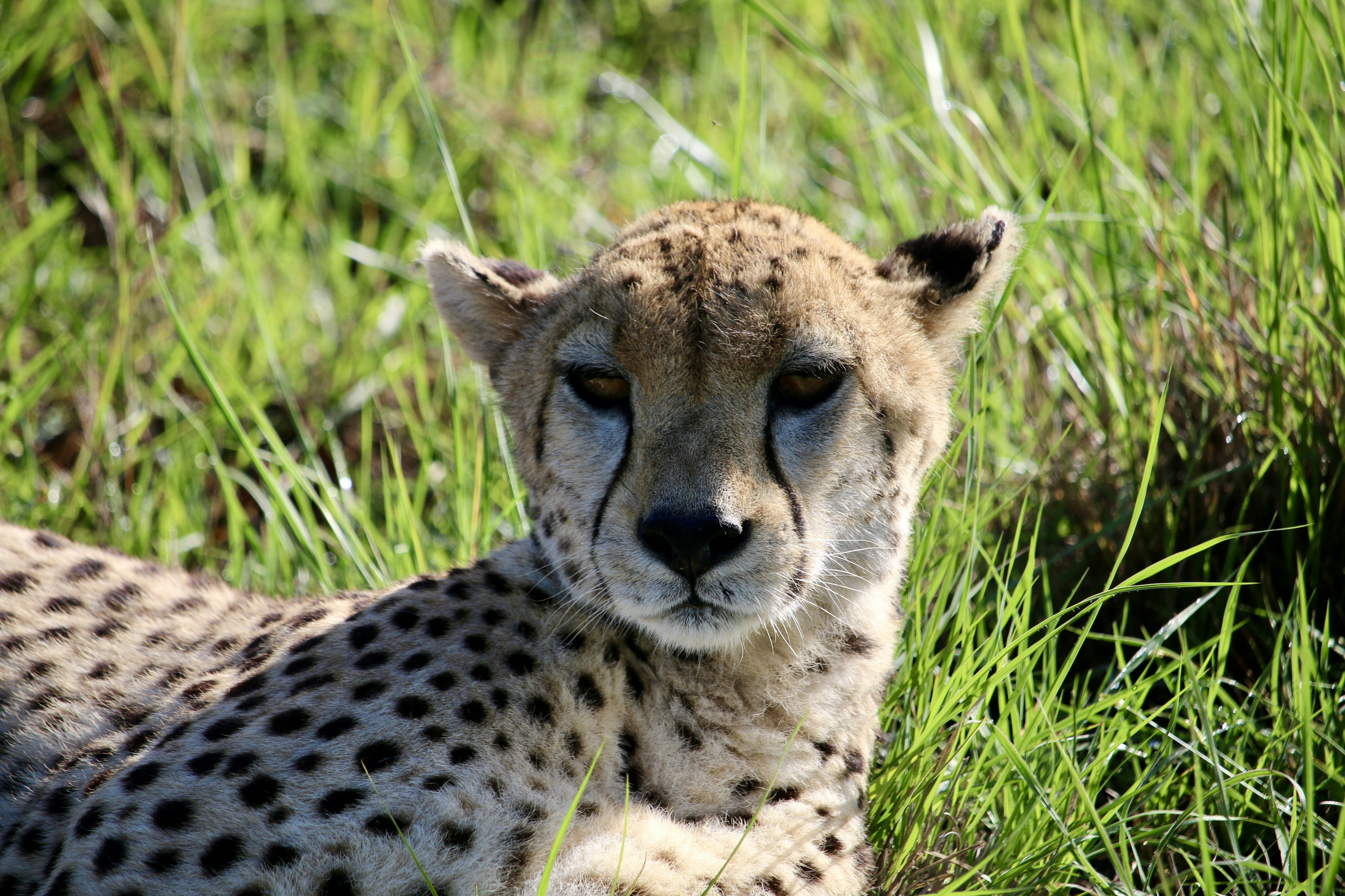 Photo by gabriels501