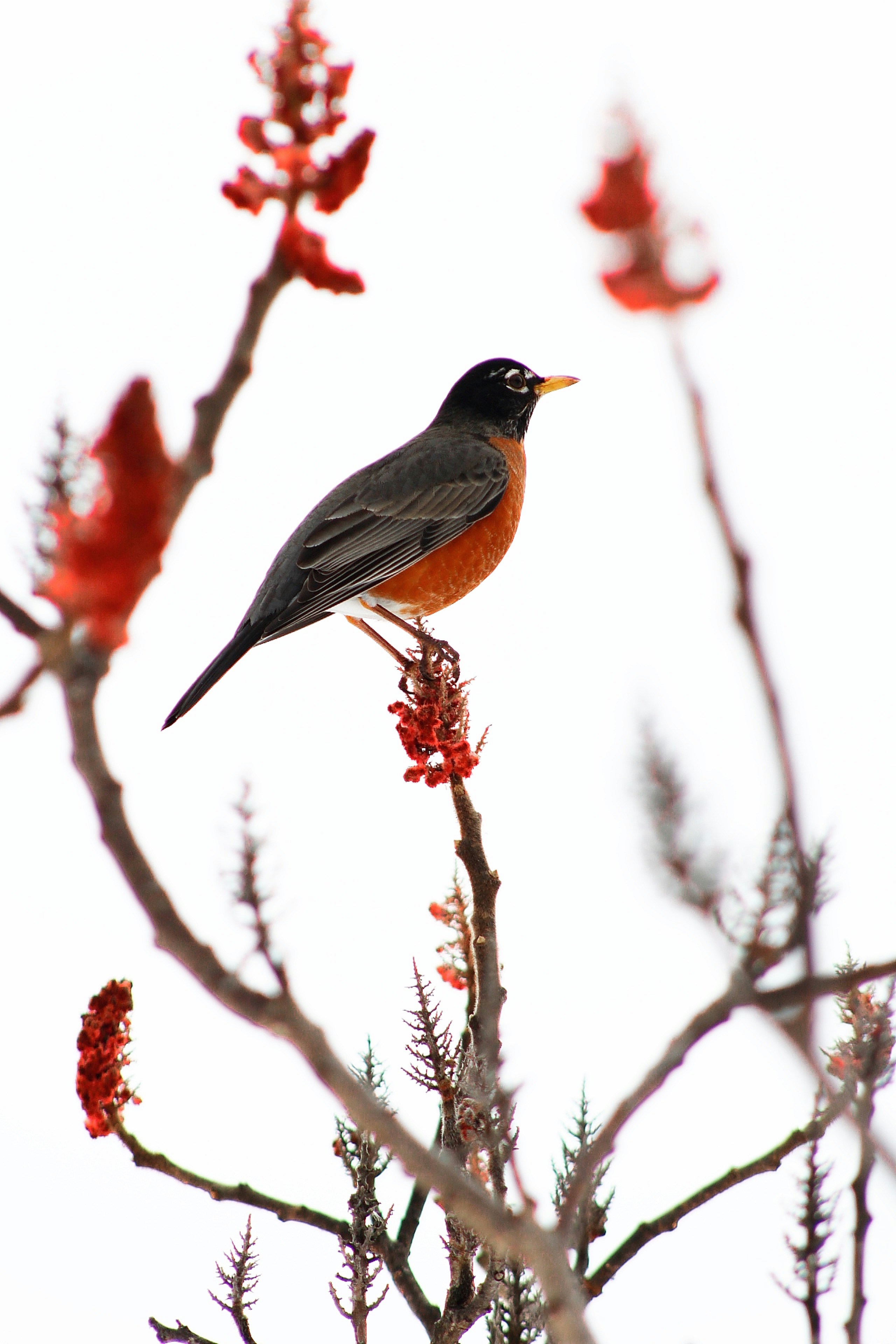 Photo by williammphotography