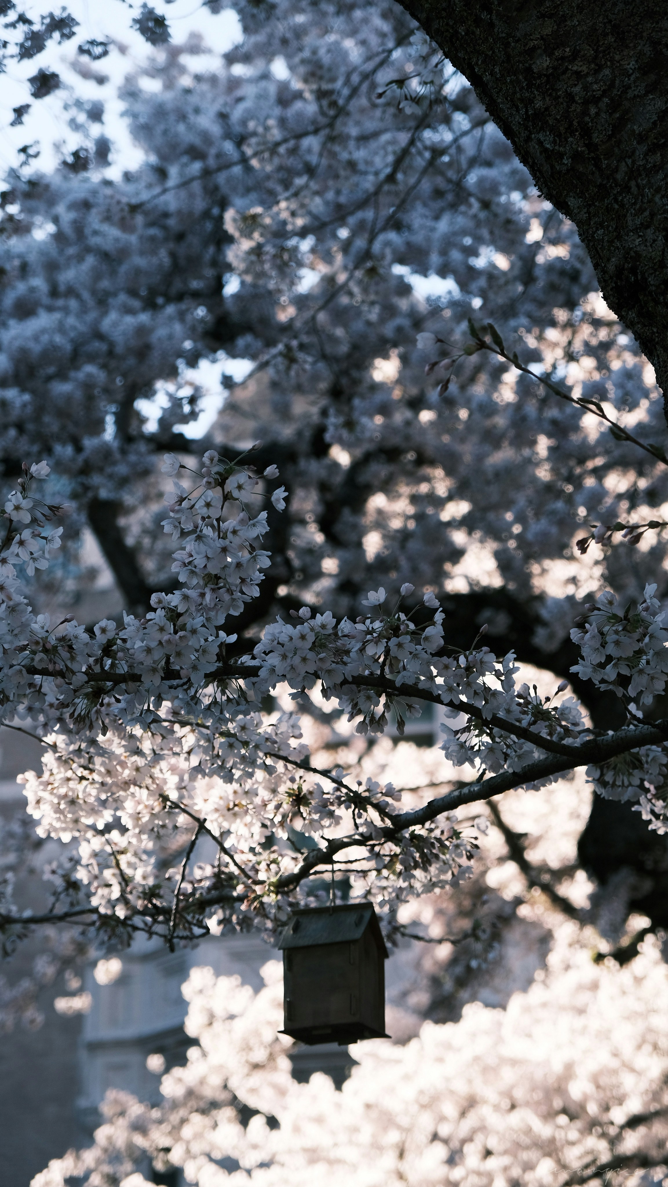 Photo by tomtheon1yone