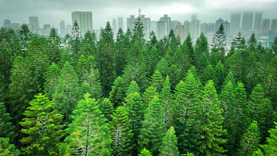 a view of a forest with tall buildings in the background