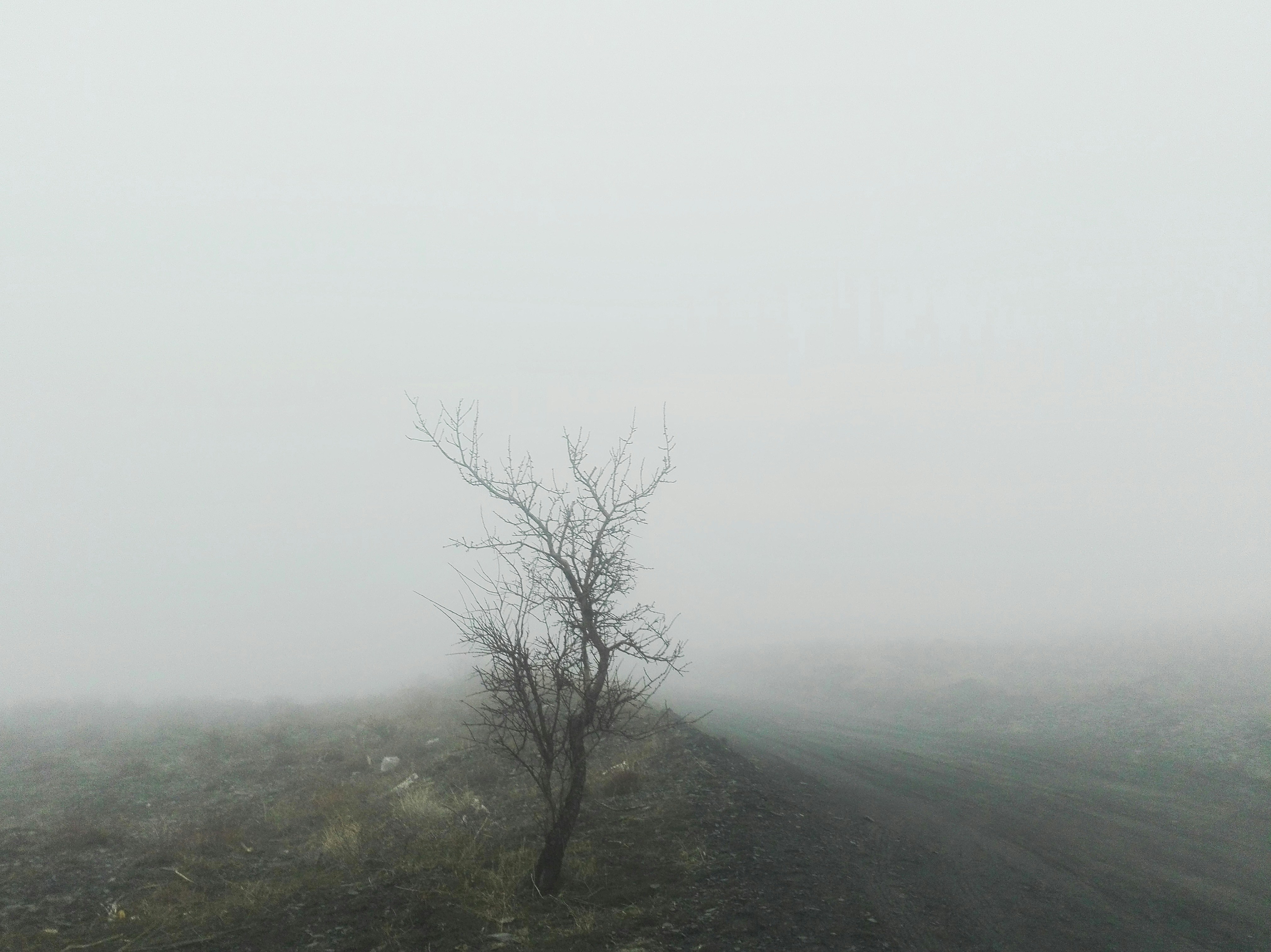 Photo by heydarnejad