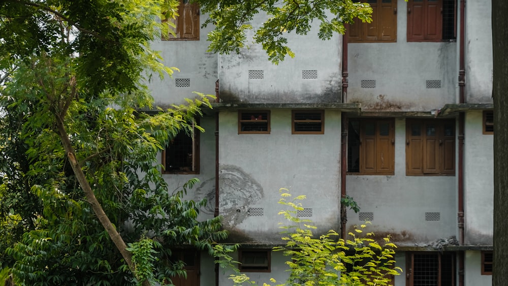 a tall building with lots of windows next to trees