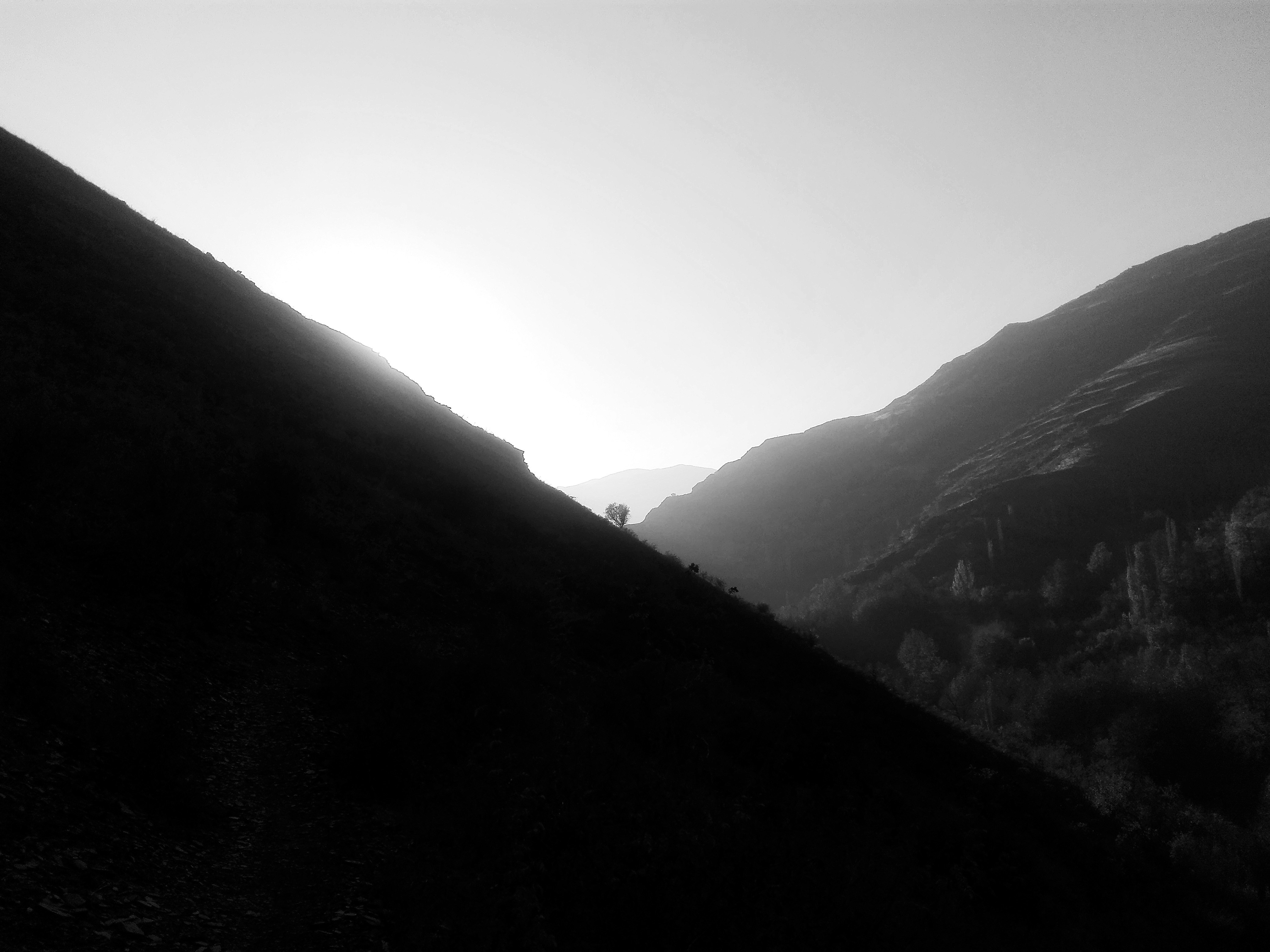 Photo by heydarnejad