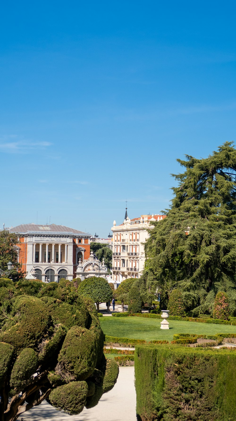 a view of a park with a building in the background