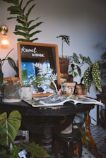 A cozy indoor scene featuring a variety of potted plants arranged on a dark wooden table. A framed mirror with the handwritten words 'kernel KITCHEN' reflects some of the plants. The pots are a mix of rustic and modern styles, placed alongside an open book or magazine. A lit wall sconce casts a warm light over the scene, enhancing the serene atmosphere.