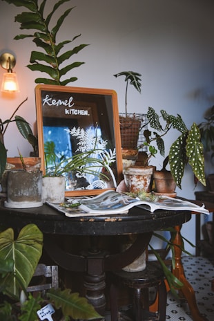 A cozy indoor scene featuring a variety of potted plants arranged on a dark wooden table. A framed mirror with the handwritten words 'kernel KITCHEN' reflects some of the plants. The pots are a mix of rustic and modern styles, placed alongside an open book or magazine. A lit wall sconce casts a warm light over the scene, enhancing the serene atmosphere.