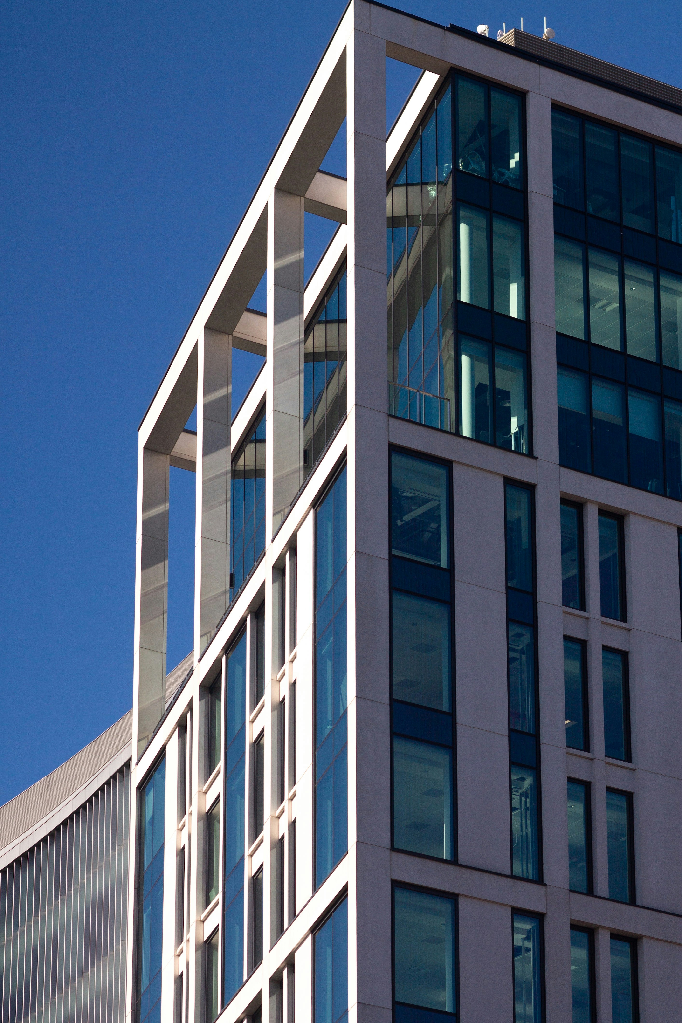 Photo by kittyhutchinson