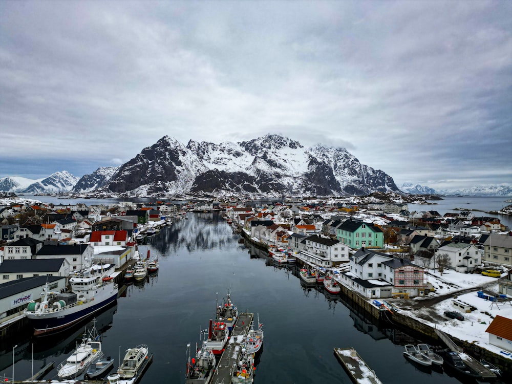 a view of a harbor with a mountain in the background