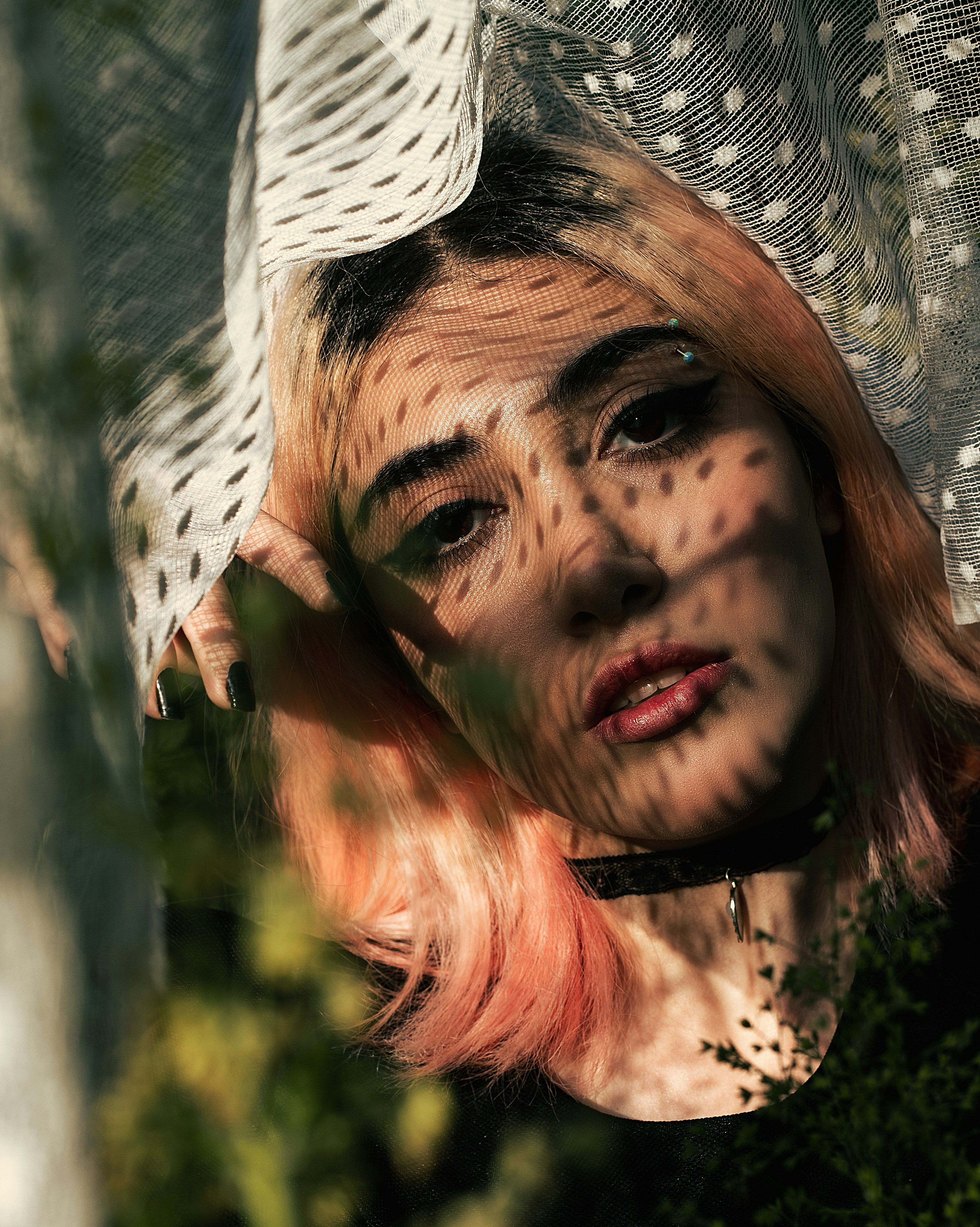 Photo by mehranbiabani