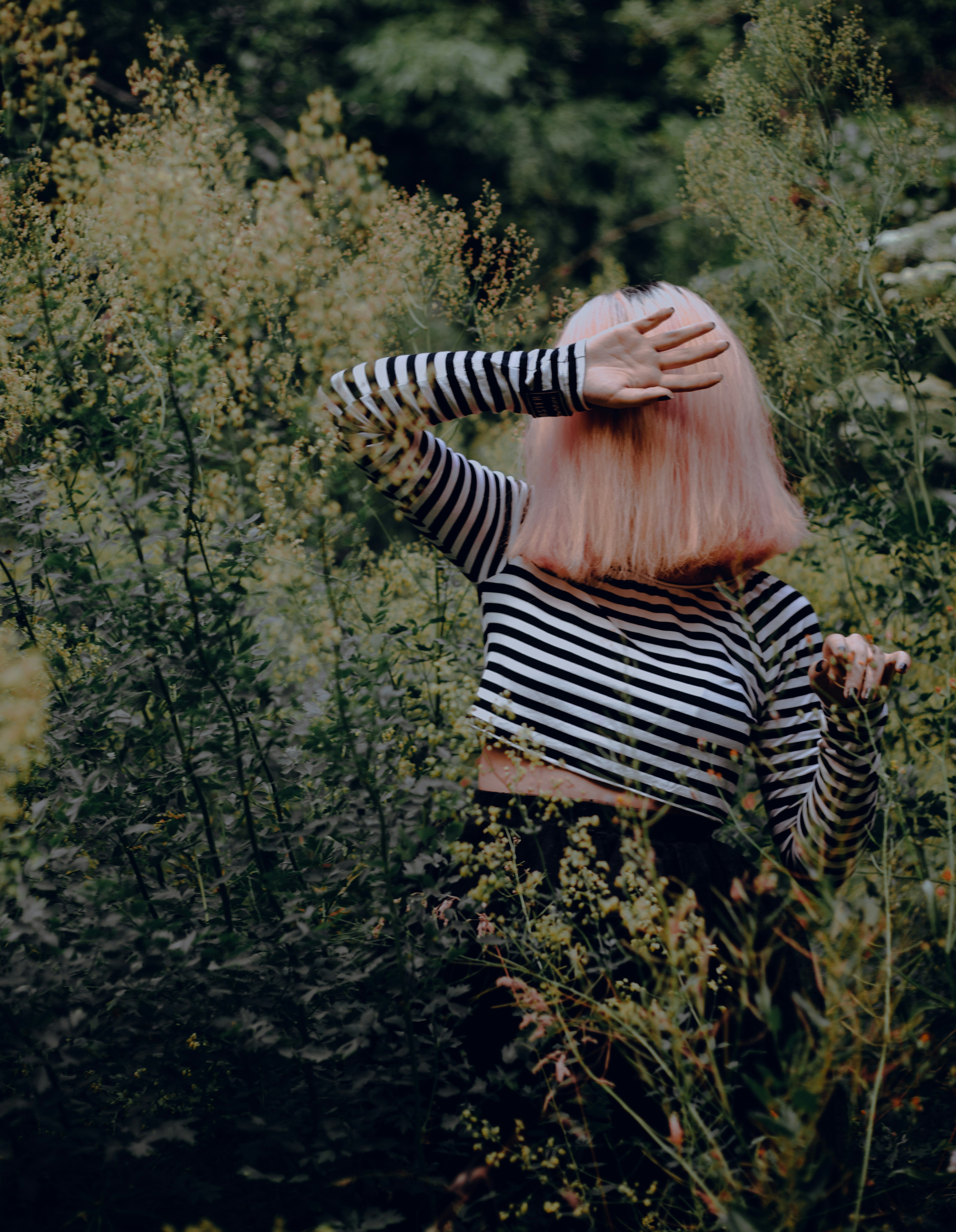 Photo by mehranbiabani