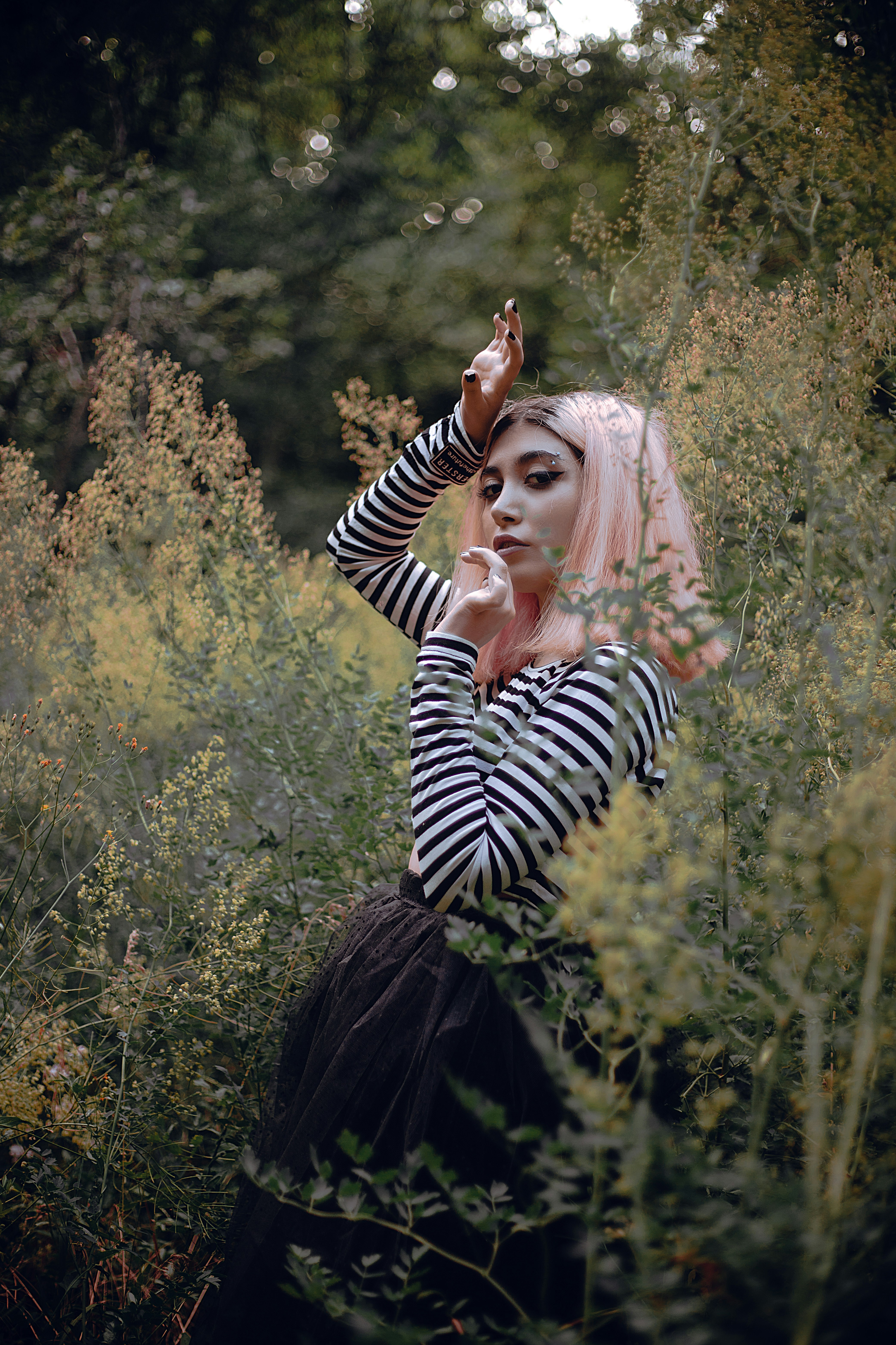 Photo by mehranbiabani