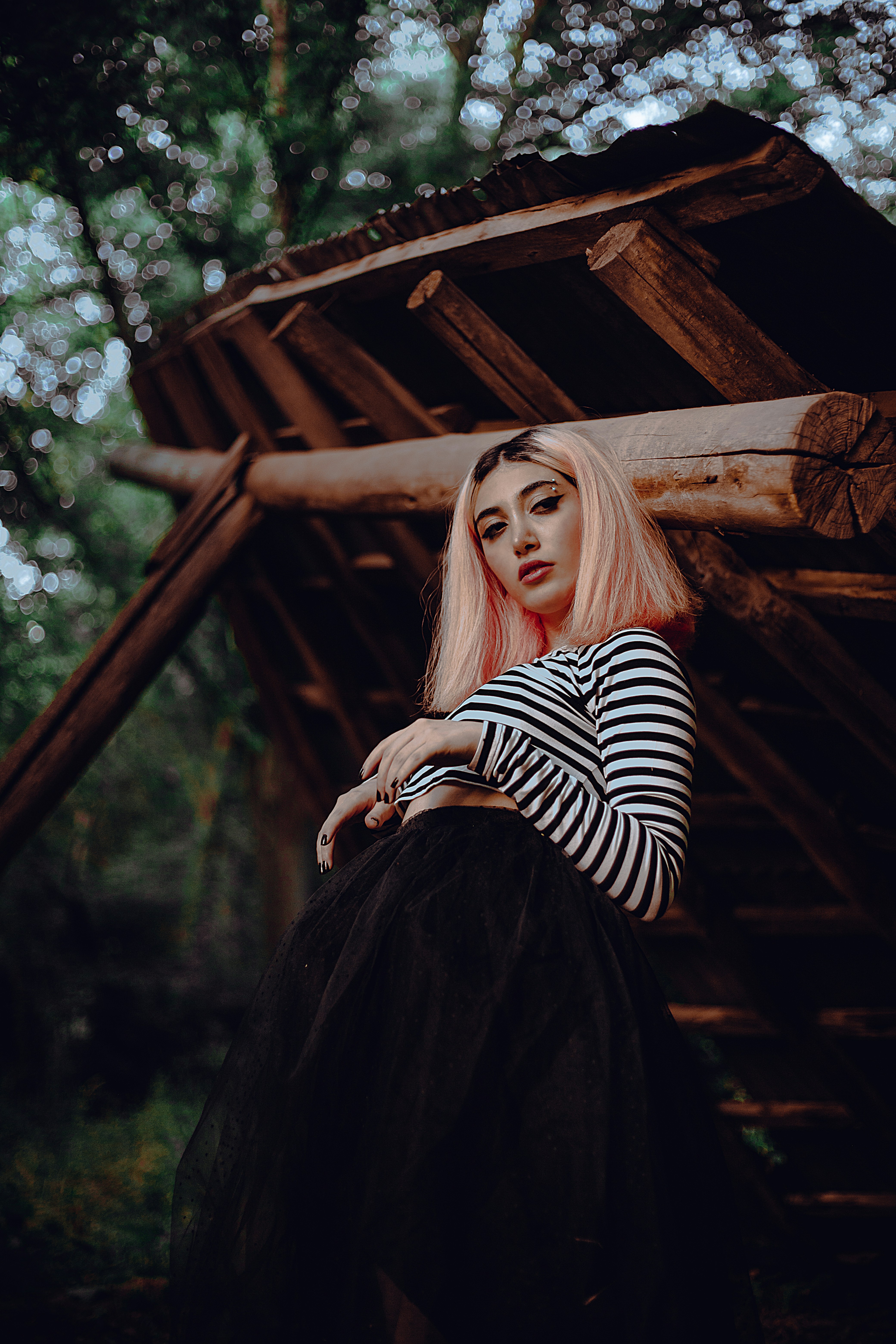 Photo by mehranbiabani