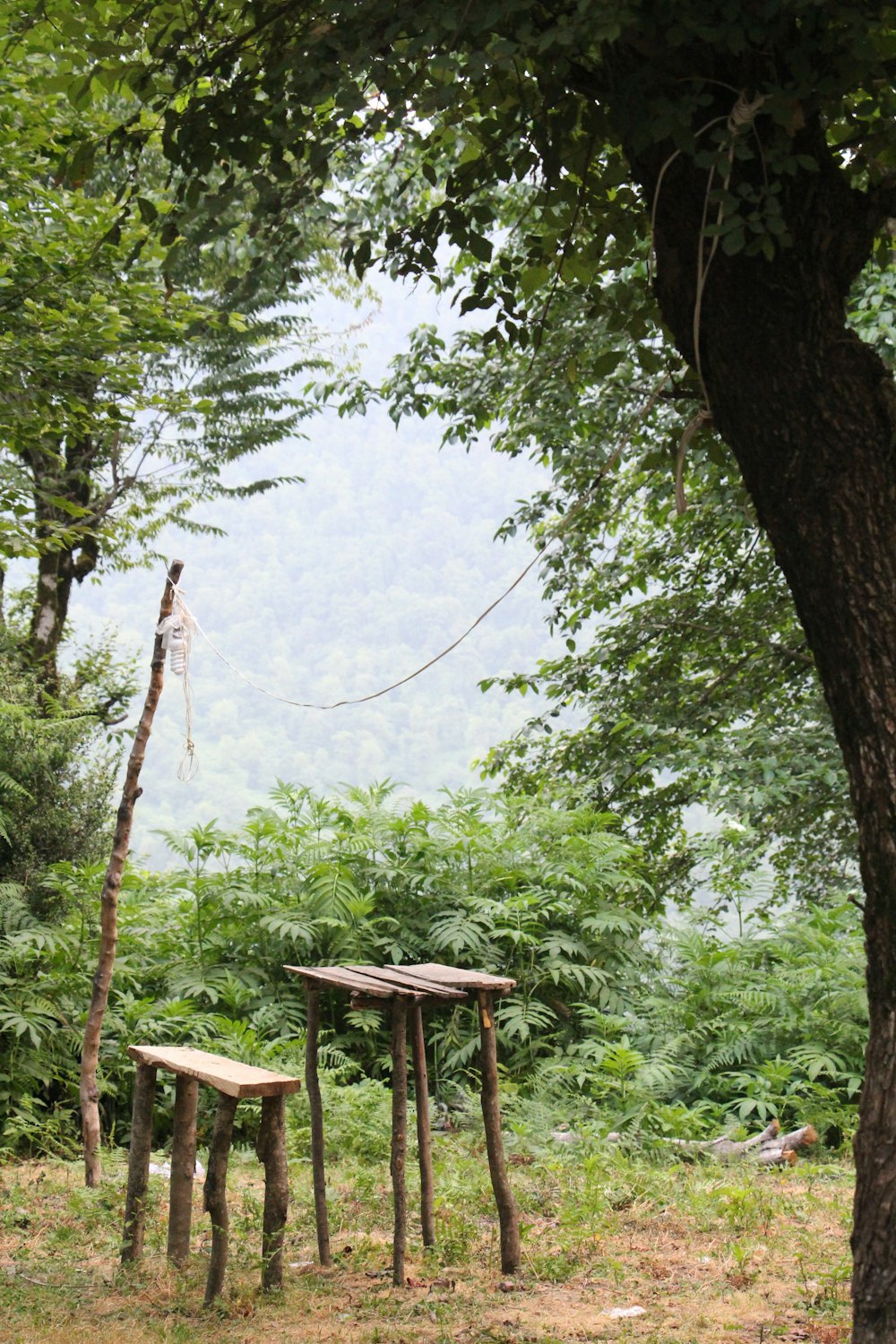 a couple of wooden tables sitting under a tree