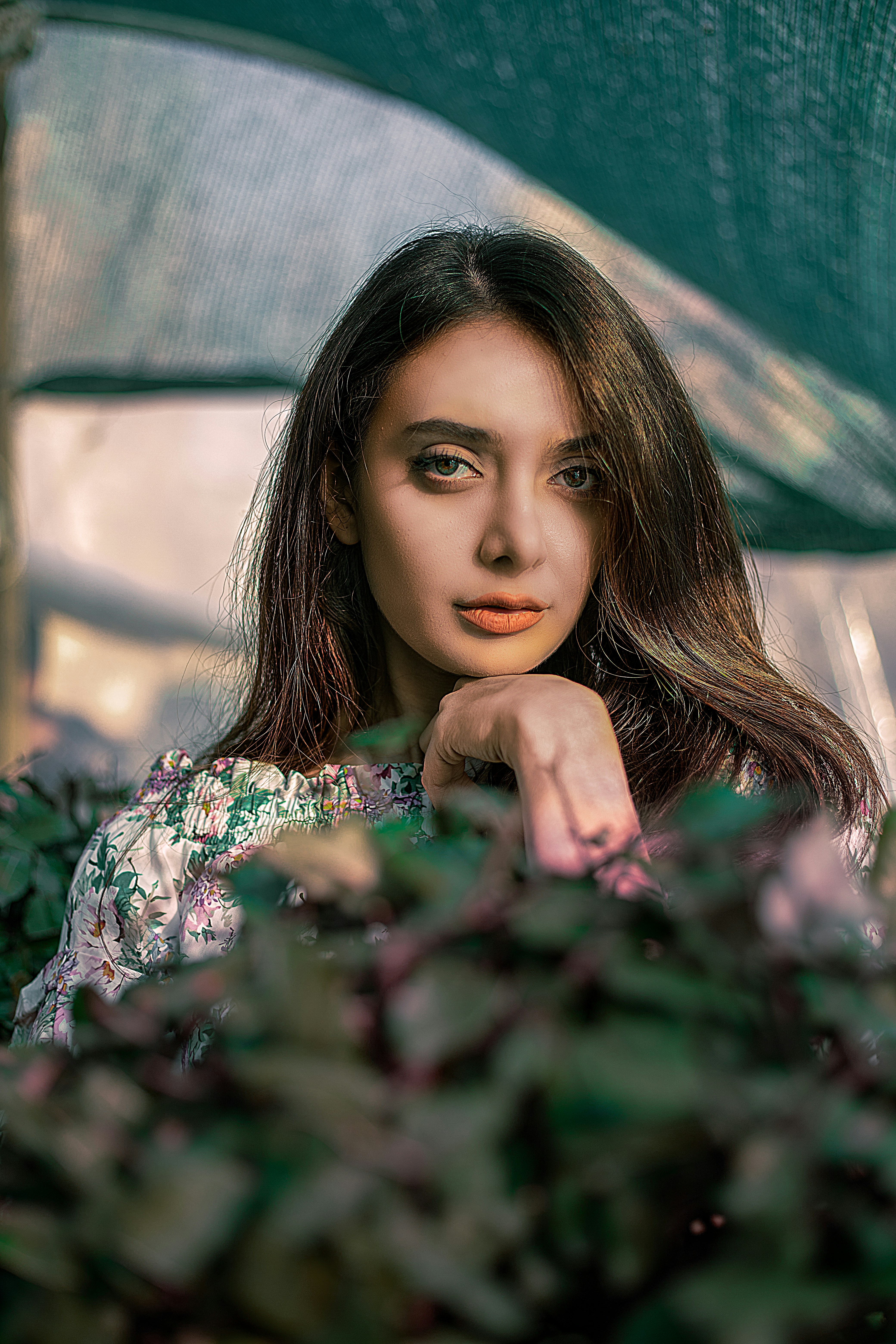 Photo by mehranbiabani