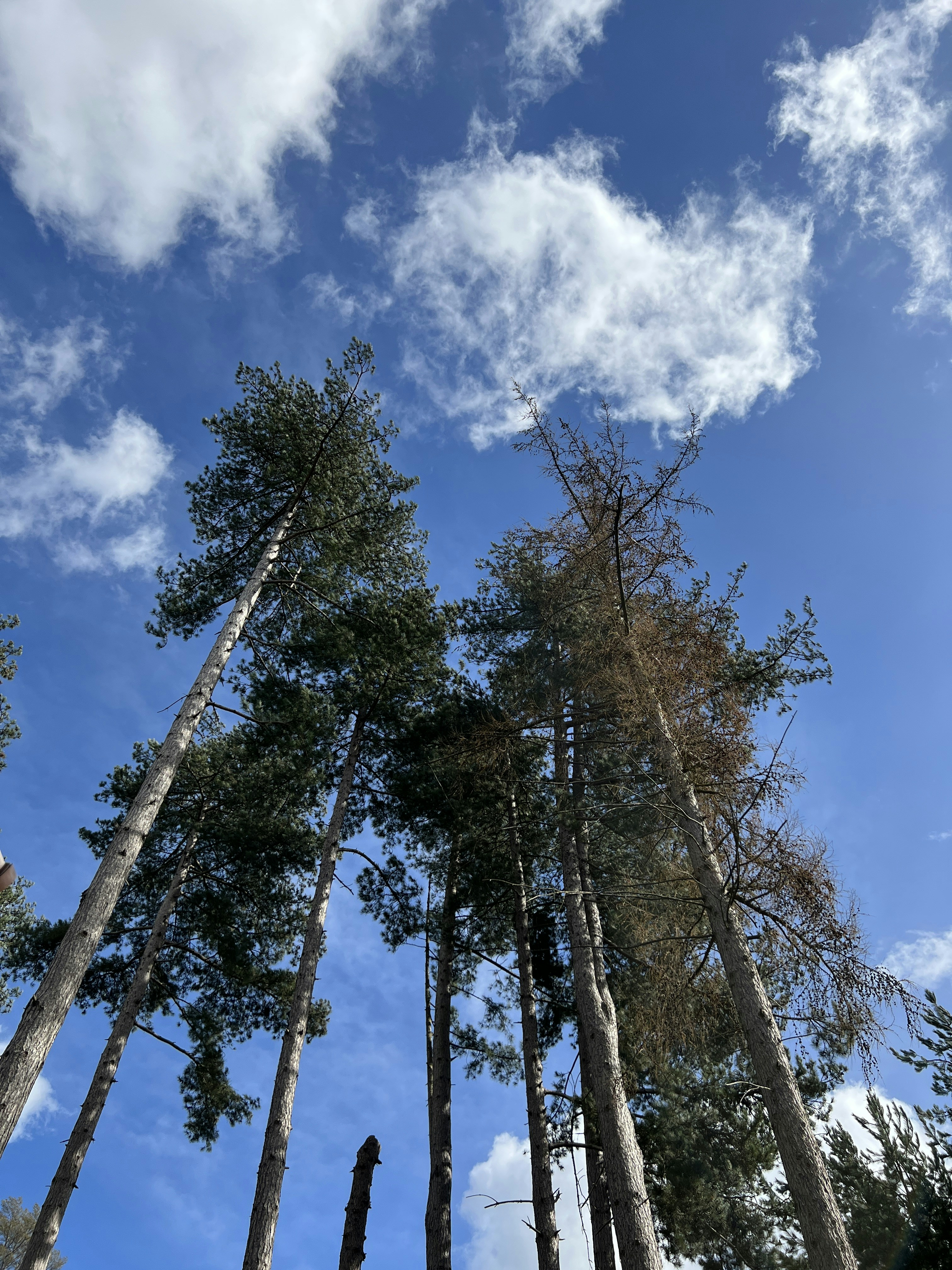 Photo by uphonixmusic