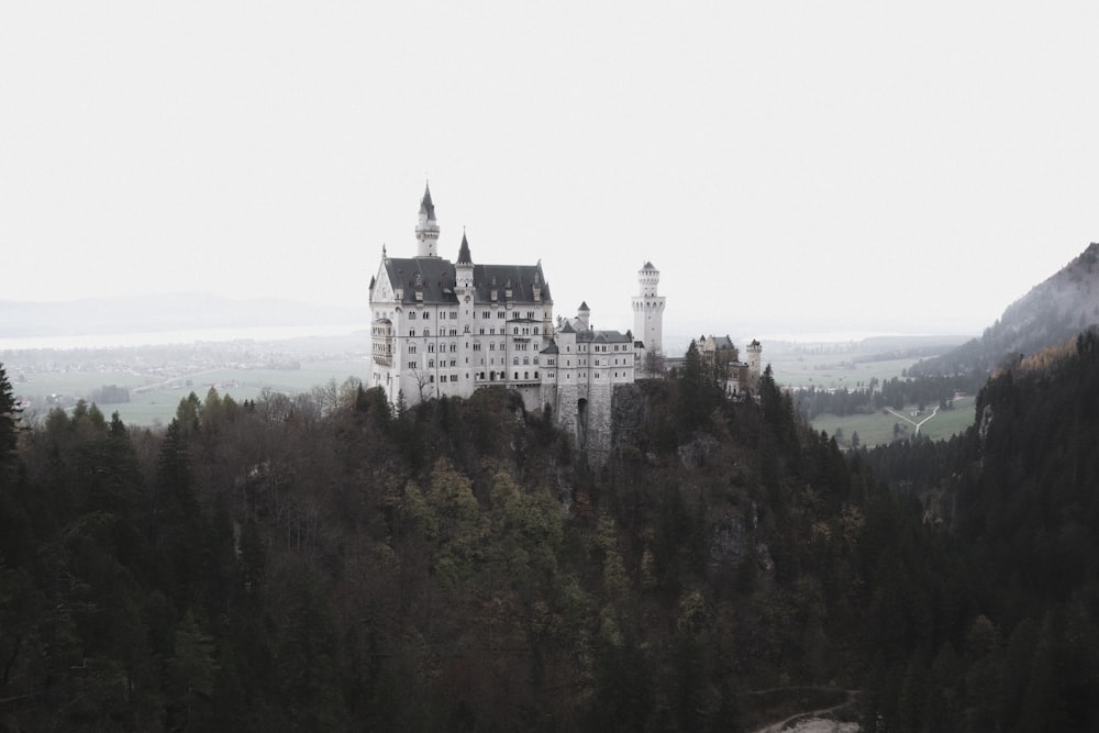 a castle on top of a hill surrounded by trees