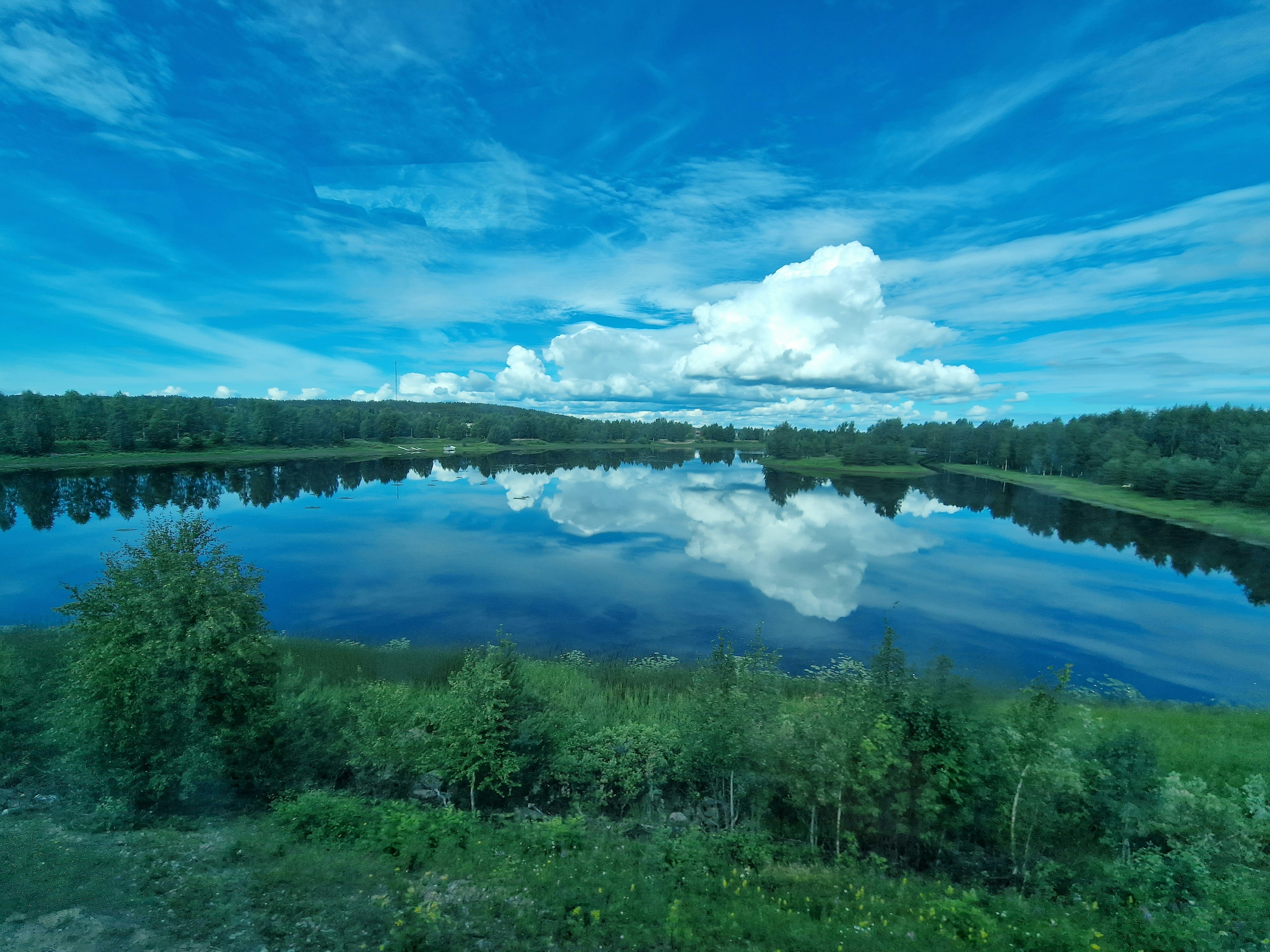 ein großes Gewässer, umgeben von einem Wald
