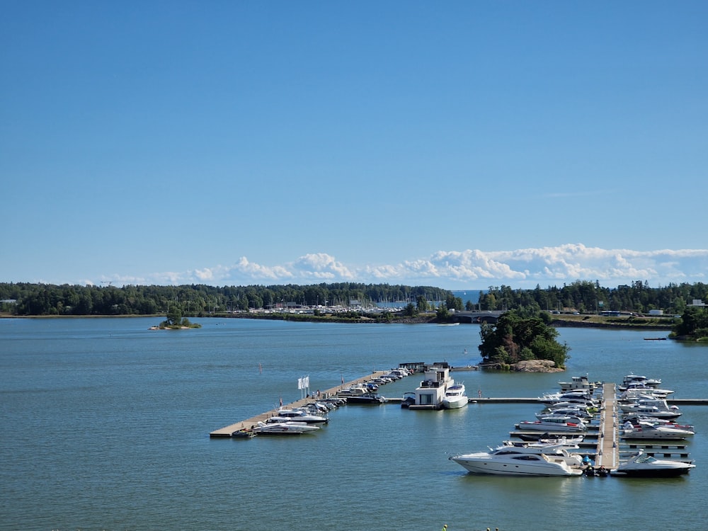 a harbor filled with lots of boats on top of a lake