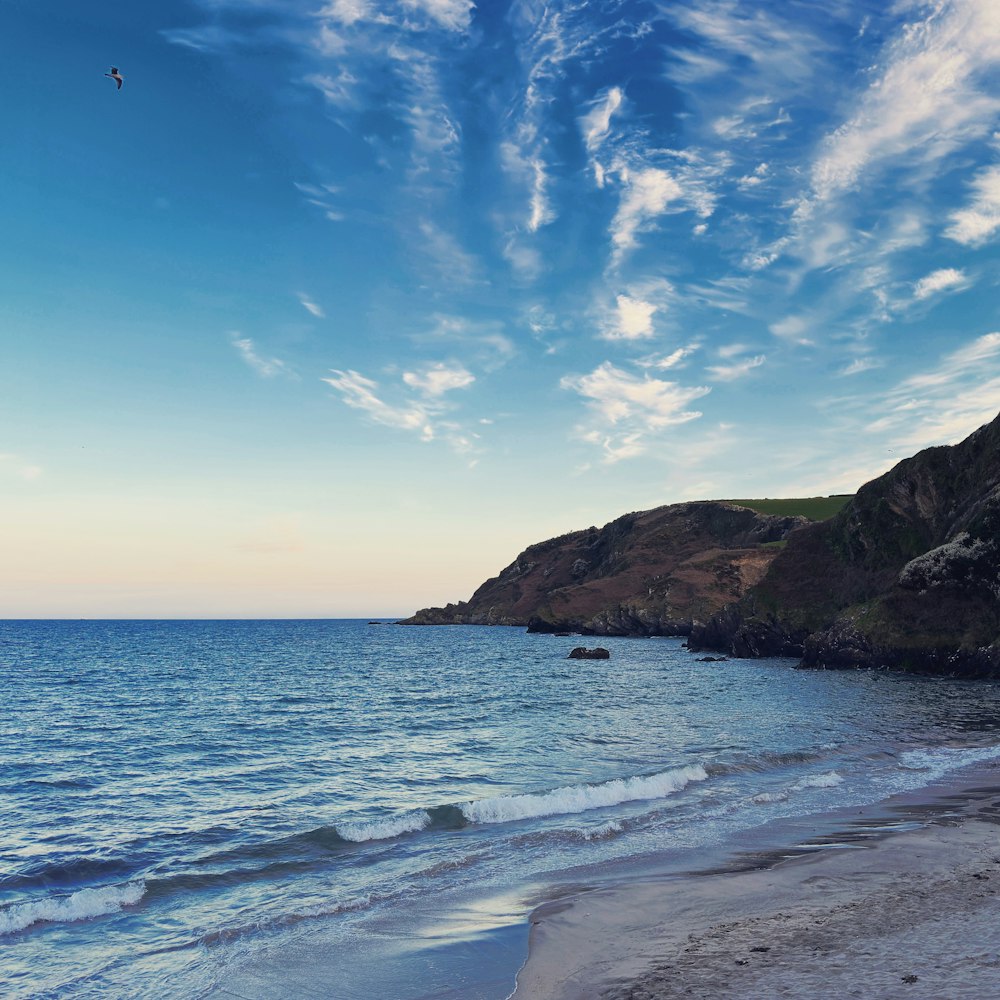 a bird flying over a beach next to the ocean