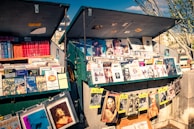 A vibrant outdoor bookstall displays an array of books, magazines, and artwork. The books and magazines are arranged neatly on open display under large open lids, with some items hanging on strings. The scene suggests a sunny day with shadows cast by nearby trees and structures.
