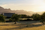 A serene view of the farm landscape at golden hour, with earthy tones and traditional stone walls